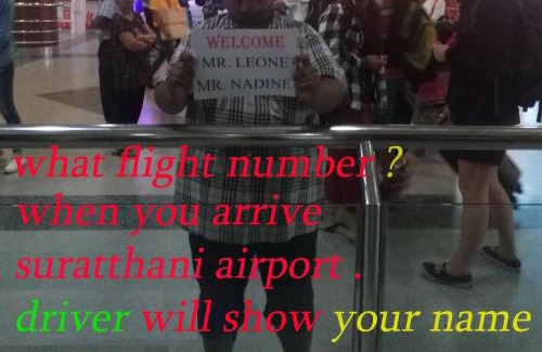 Talat Boat Rental | Suratthani Airport TJ Night Boat To Koh Tao