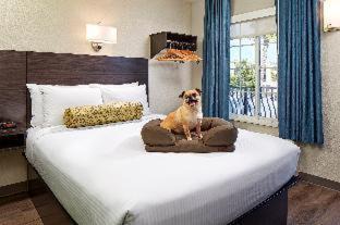 Pacific Beach Hotel | SureStay Hotel by Best Western San Diego Pacific Beach