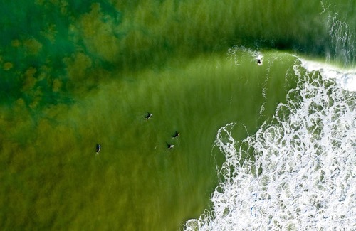 Warea House | SURF BREAK ON STENT: 4 BR, 2 BA House in Warea, Sleeps 7