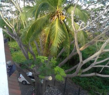 Ixtapa Apartment | Surf lodge