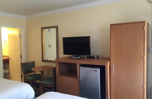 Cow Hollow Hotel | Surf Motel