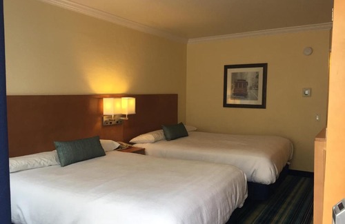 Cow Hollow Hotel | Surf Motel