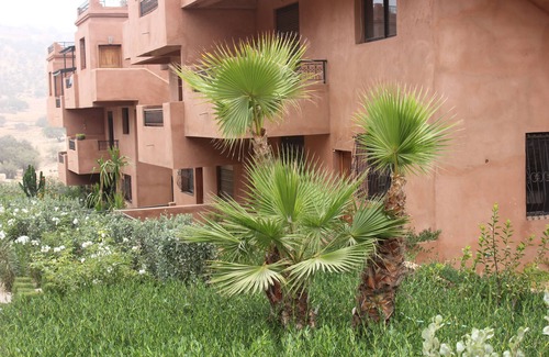 Taghazout Apartment | Surf & Relaxation Luxury apartment in the middle of Argan trees .