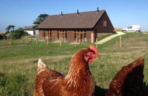 Shorwell House | Surf Shack 1-Bed Cottage Sleeps 2 Pet Friendly