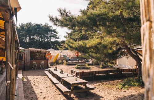 Overveen Other | Surfana Beach Bed & Breakfast Bloemendaal