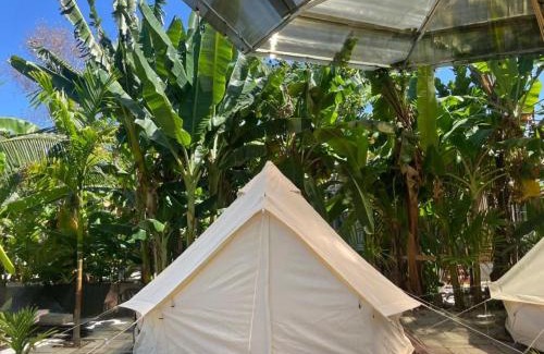East Ham Tien Beach Other | Suri Homestay Mũi Né