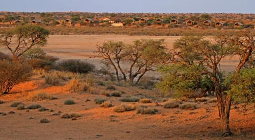 Intu Afrika Kalahari Private Reserve Cabin | Suricate Tented Kalahari Lodge