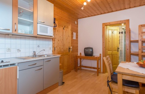 Flachau Apartment | Surprisingly spacious apartment in authentic farmhouse