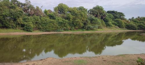 Auroville Bed & Breakfast | Surya Villa Guesthouse