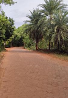 Auroville Bed & Breakfast | Surya Villa Guesthouse