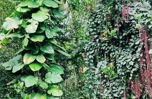 Bison Valley House | Suryas farm stay