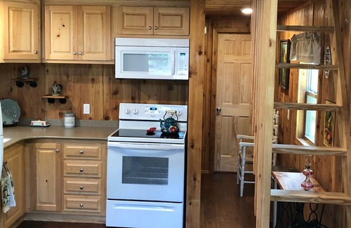 Mayo Cabin | Suwannee river hides