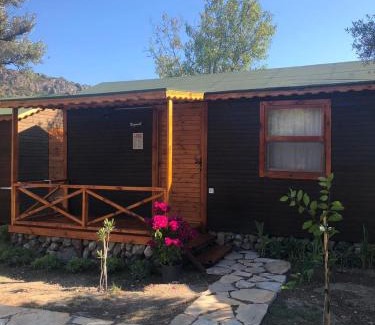 Hayitbuku Apartment | Suzi'nin Bahçesi Bungalov Evler