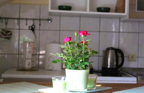 Mali Radic Apartment | Svila Apartmani