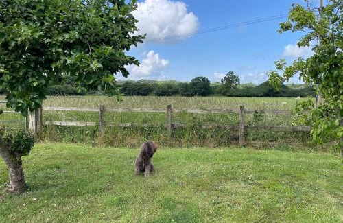 New Forest District House | Swallows Retreat