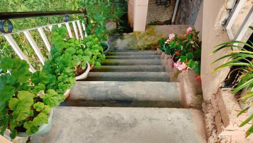Bhagsu Nag House | Swami House