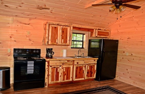 Buchanan RV Rental | Swan Bay Cabins & RV Park Cabin#(6) Paris Tn, Kentucky Lake