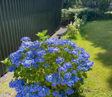Margam Ski Chalet | Swansea Log Cabin