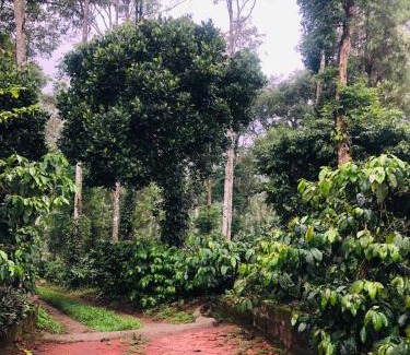 Madikeri House | Swapna Estate Stay Coorg
