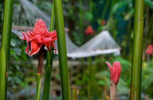 Kanjirappally House | Swasthi Serviced Villa