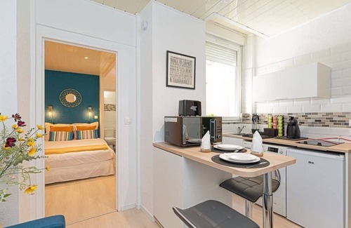Les Iles Apartment | Sweet Apartment Heart Metz close Cathedral /1BR