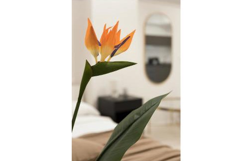 Acquabella Apartment | Sweet Dreams Apartments - Near Center - M4