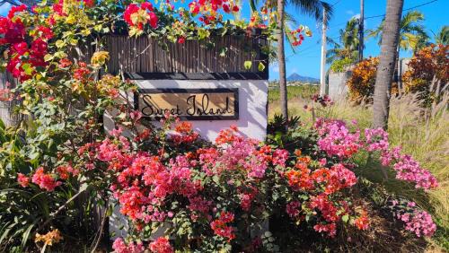 Grande Riviere Noire Bed & Breakfast | SWEET ISLAND petit dejeuner inclus