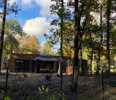 Zutendaal House | Sweet Valley Julia