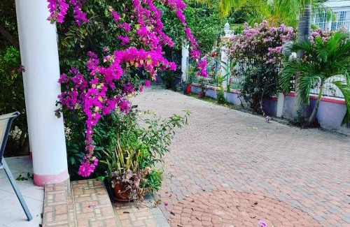 IronShore Estates Apartment | Sweetsop Jamaica Villa and Tour