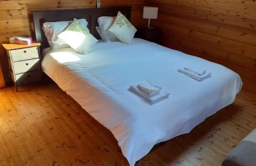 Iida House | Swiss Chalet - Vacation STAY 11450v