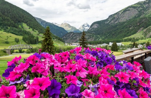 Zernez Hotel | Swiss Lodge Zernez