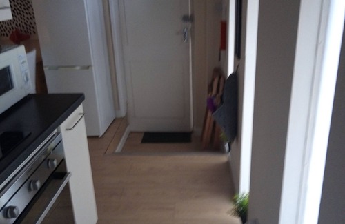 Shanklin Apartment | SWISS STYLE 1 BEDROOM GARDEN APARTMENT
