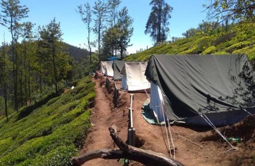 Ithalar Bed & Breakfast | Swiss Tents in Ooty, Tn