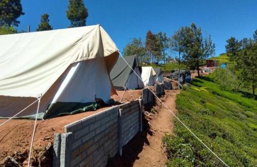 Ithalar Bed & Breakfast | Swiss Tents in Ooty, Tn