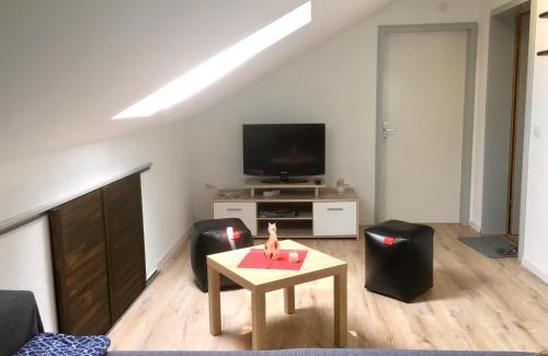 Hohentengen am Hochrhein Apartment | Swiss View
