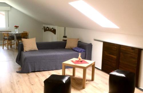 Hohentengen am Hochrhein Apartment | Swiss View