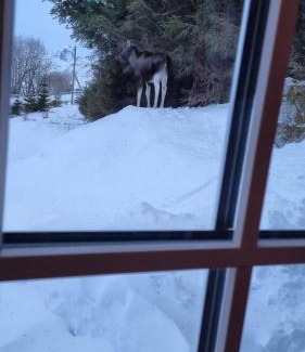 Barstrand House | Sydalen house