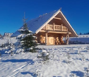 Zab Ski Chalet | Szałas