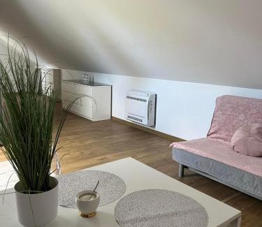 Szarow Apartment | Szarów 414