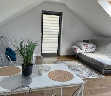 Szarow Apartment | Szarów 414