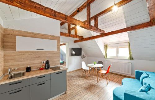 Sibiu Apartment | T House