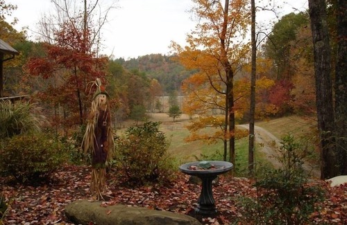 Tellico Plains Cabin | T Lea Farm: Your serene Luxury *73-Acre Vacation Retreat great for bikers too!