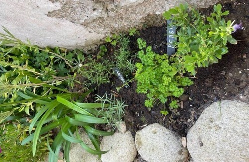 Tregastel House | T'y Nima fisherman's cottage with walled garden