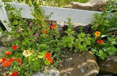 Tregastel House | T'y Nima fisherman's cottage with walled garden