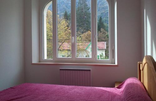 Ax-les-Thermes Apartment | T2 250m du centre ville AX-LES-THERMES
