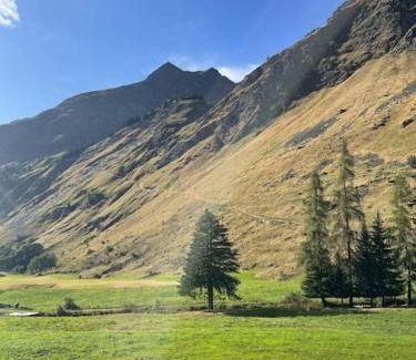 Champagny-en-Vanoise Apartment | T2 5 p Champagny-le-Haut
