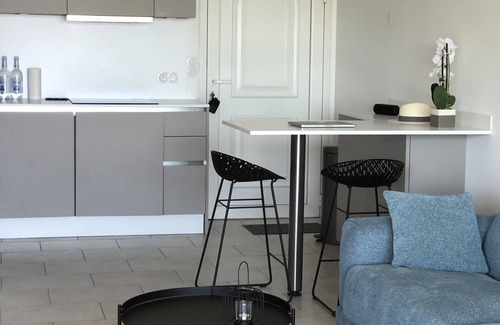 Marine de Saint Ambroggio Apartment | T2 air conditioned with terrace 40 M2 very beautiful sea view in residence with swimming pool