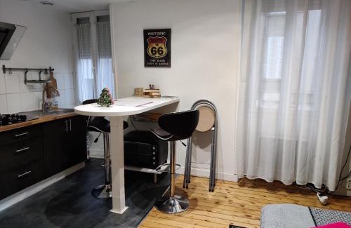 Saint-Serge Apartment | T2 Angers Jardin des plantes