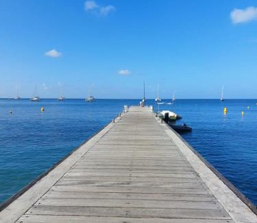 Les Anses-d'Arlets Apartment | T2 cirique