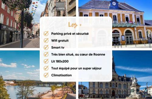 Roanne Apartment | T2 Dahlia Roanne centre-ville - Parking & Clim